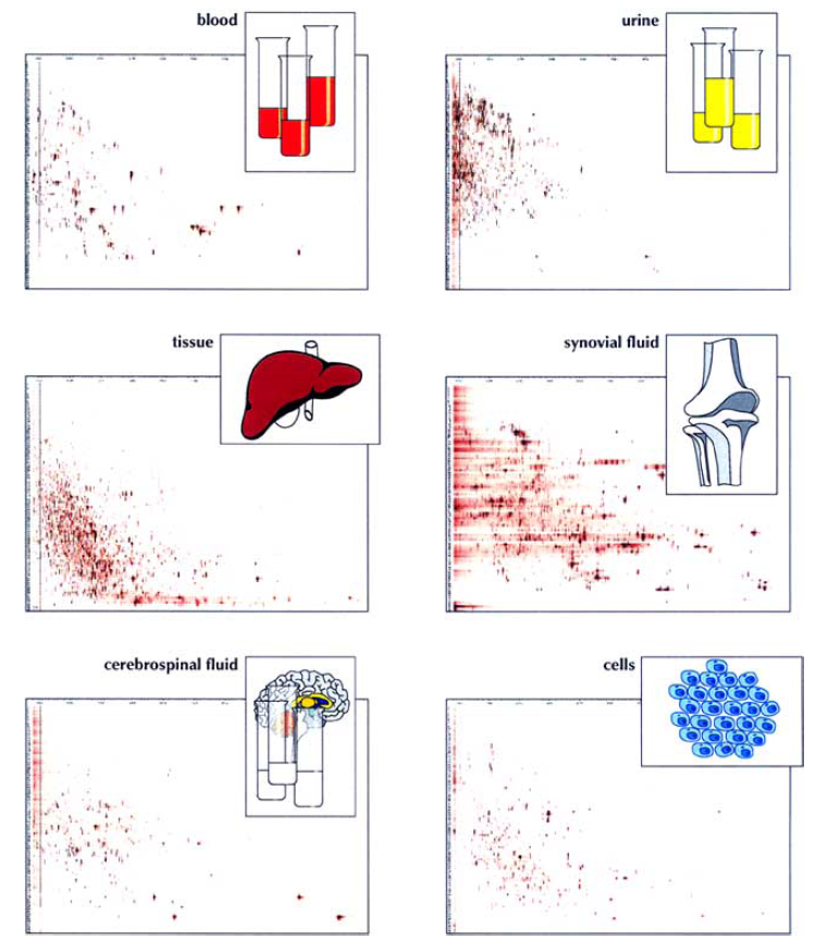 Brief-Introduction-of-Peptidomics-1