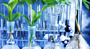 3个应用蛋白质组学实验中的每个人都应该使用