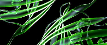 你对创意蛋白质组学感到后悔错过的东西