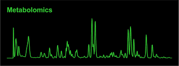 姓名一些与代谢组学相关的问题