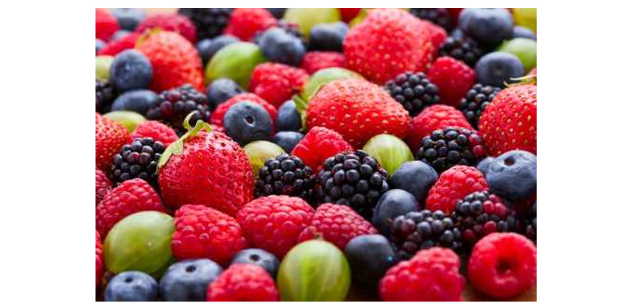 多酚的提取与分析