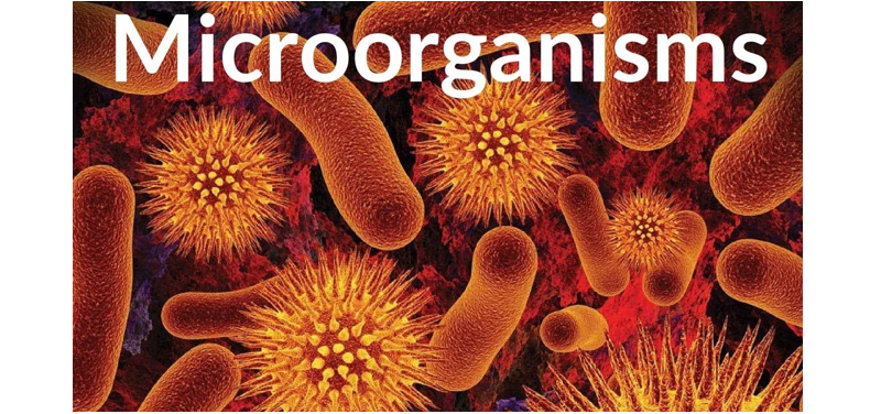 微生物代谢组学的应用