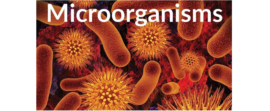 微生物代谢组学的应用