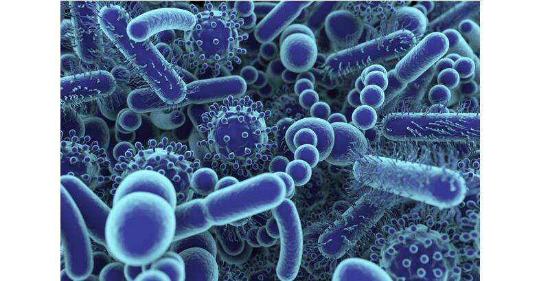 微生物组和相关代谢组分析工具