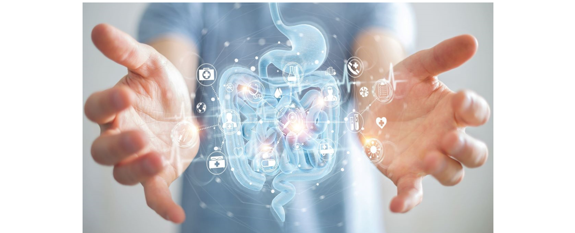 肠道健康和老化