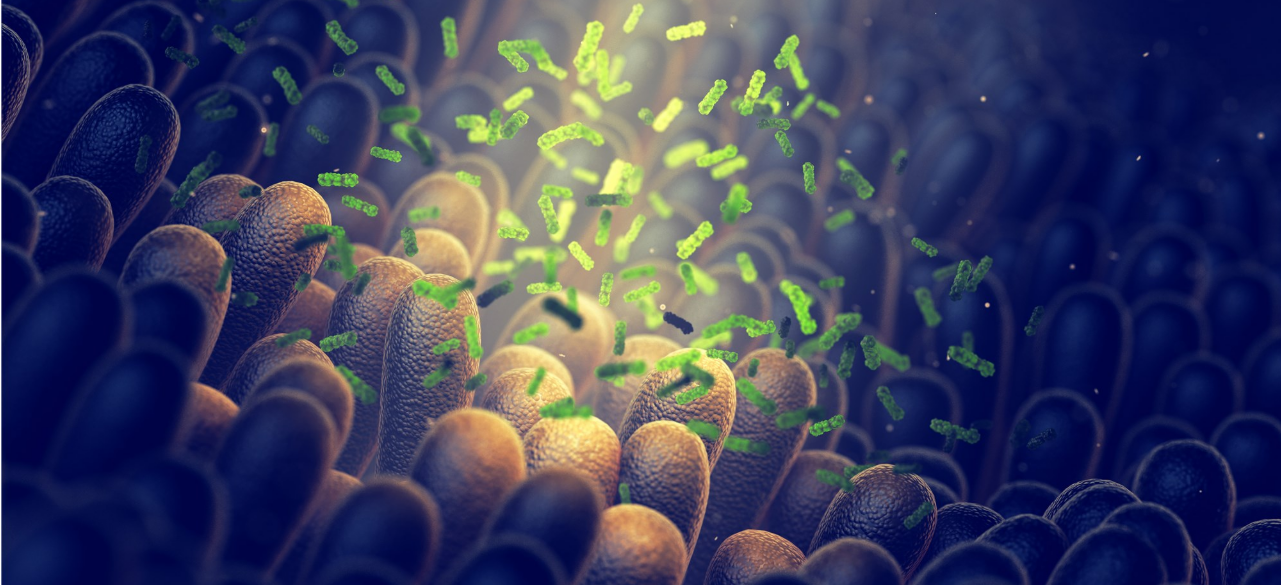 重新标准组织简要介绍