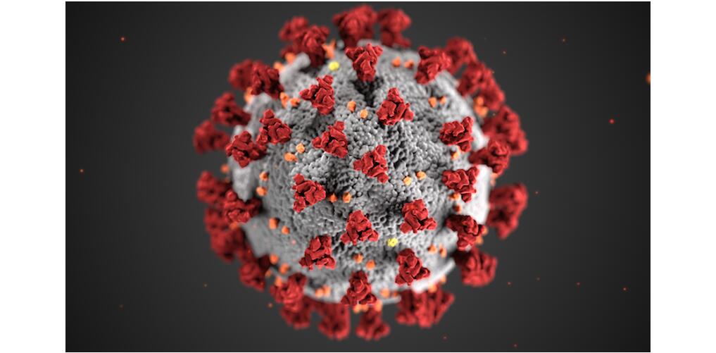 多组学技术在COVID-19研究中的应用
