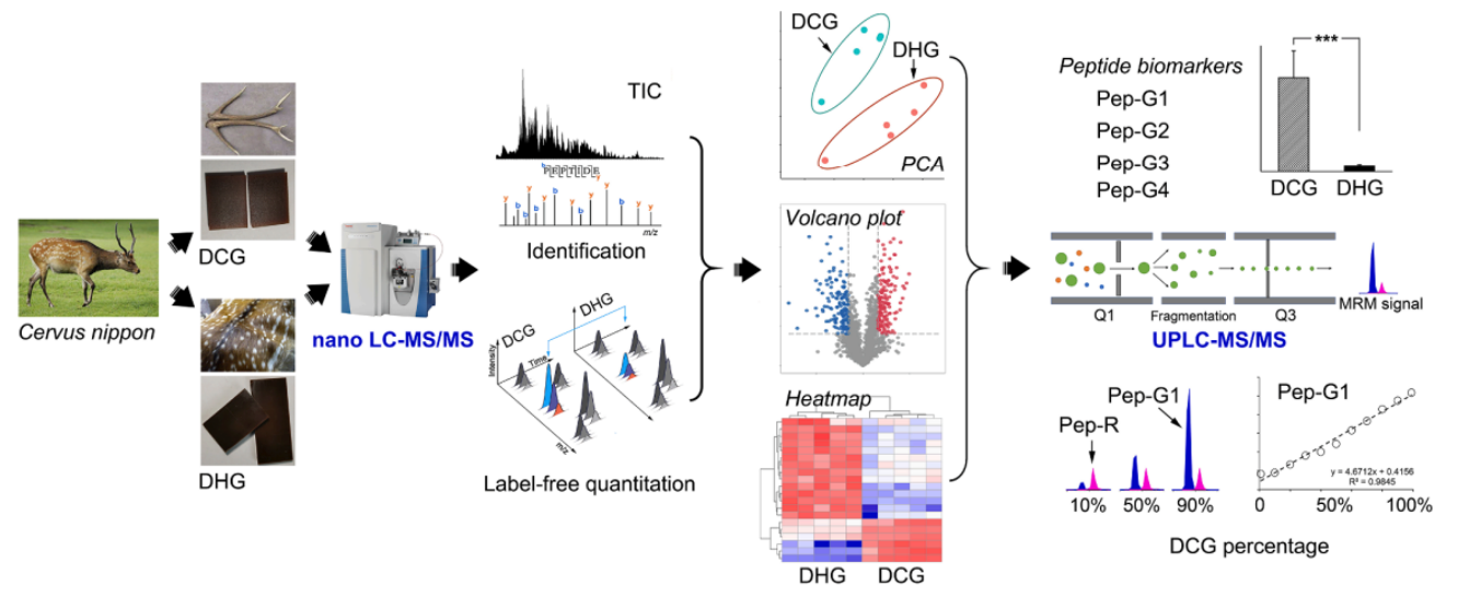 肽组学-丰富蛋白质组学研究