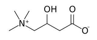 分析肉碱和酰基肉碱