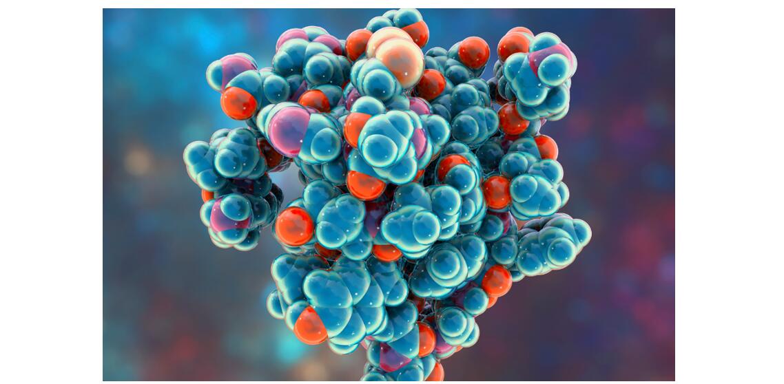 相对和准确的分子量测定方法