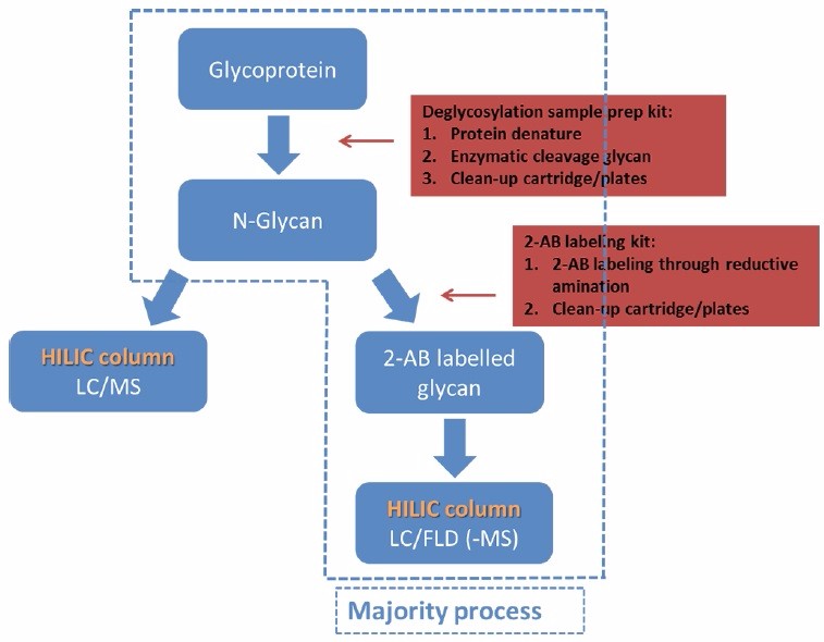 N-Glycans分析服务