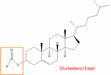 胆固醇酯分析服务