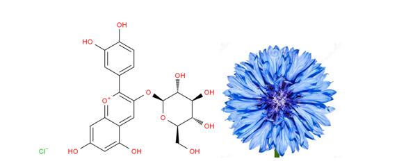 Cyanidin-3-O-glucoside (Chrysanthemin)分析服务