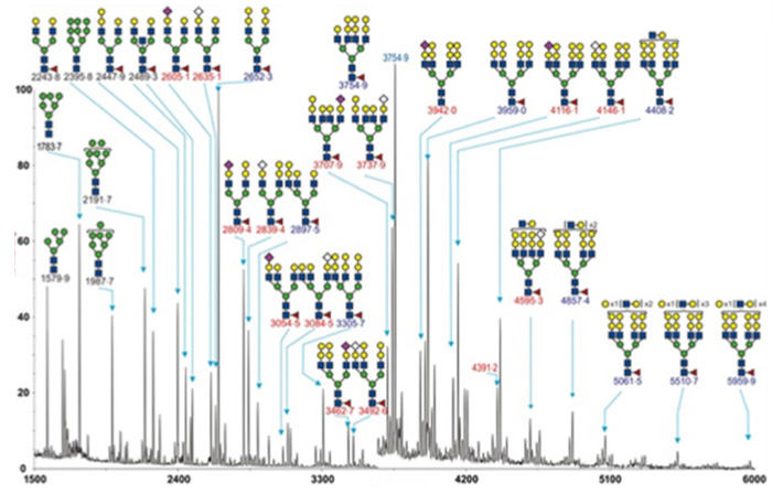 糖谱分析服务