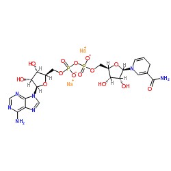 烟酰胺腺嘌呤二核苷酸（NAD +）分析服务