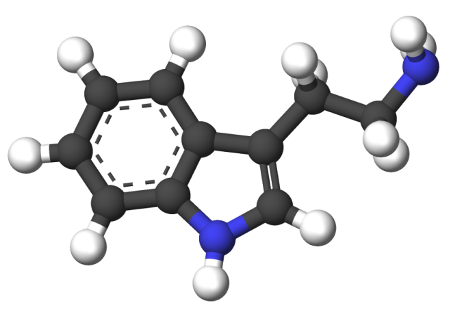 TryPtamine分析服务