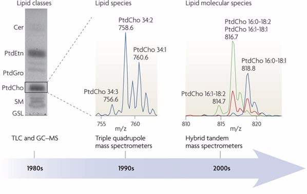 没有针对性Lipidomics