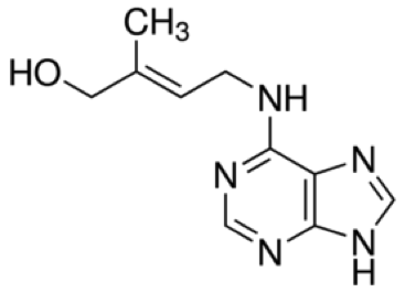 玉米素分析服务