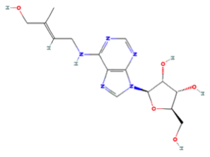 Zeepin核糖苷分析服务