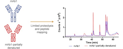 Peptide Mapping Service