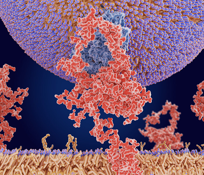 Phosphoproteomics