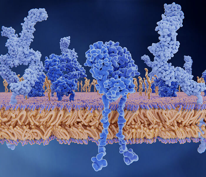 Shotgun Protein Identification Service