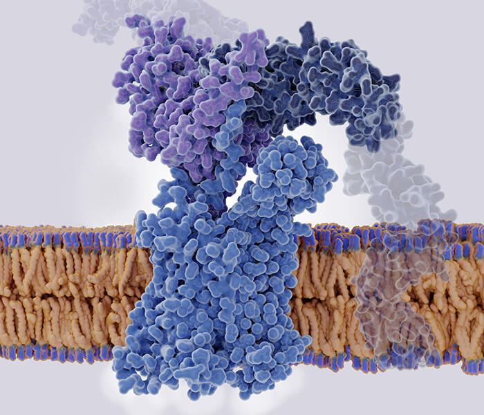 Phosphoproteomics