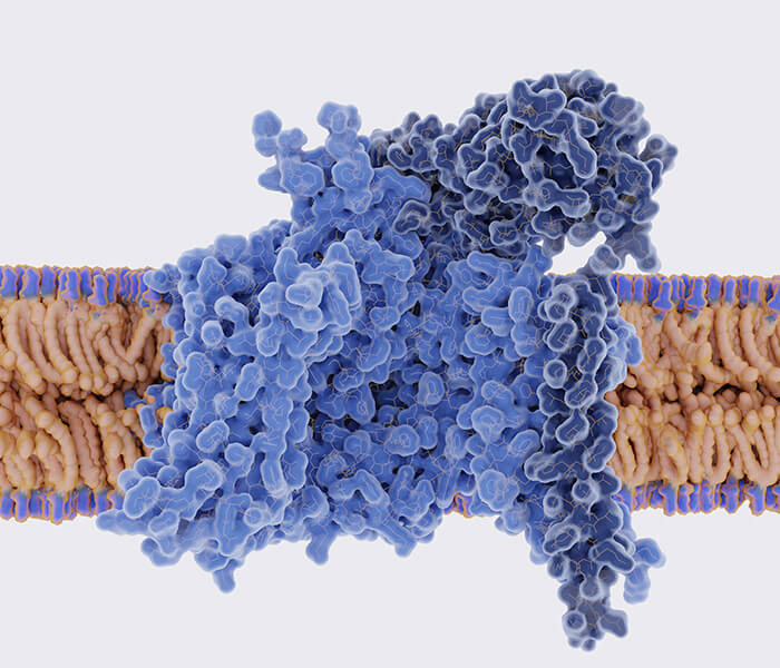 Acetylation Analysis