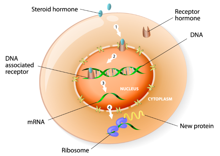 Lipidomics研究方法