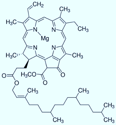 叶绿素a的分子结构