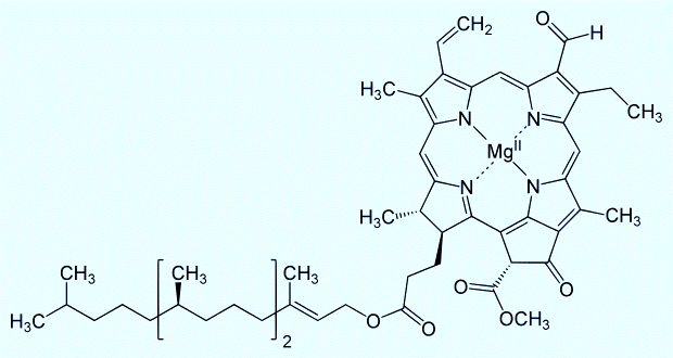 叶绿素B的分子结构