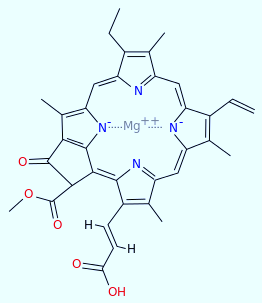 叶绿素C1的分子结构