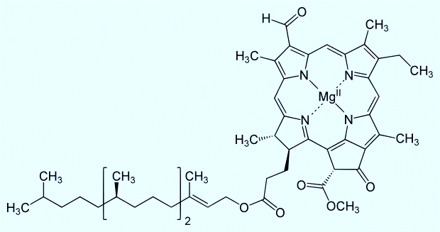 叶绿素分子结构