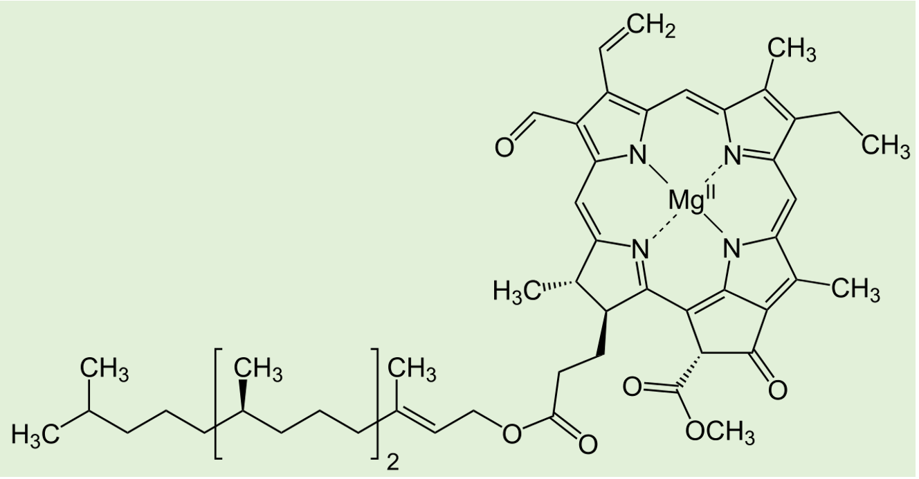 叶绿素F的分子结构