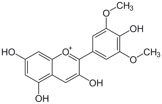 麦芽素的分子结构