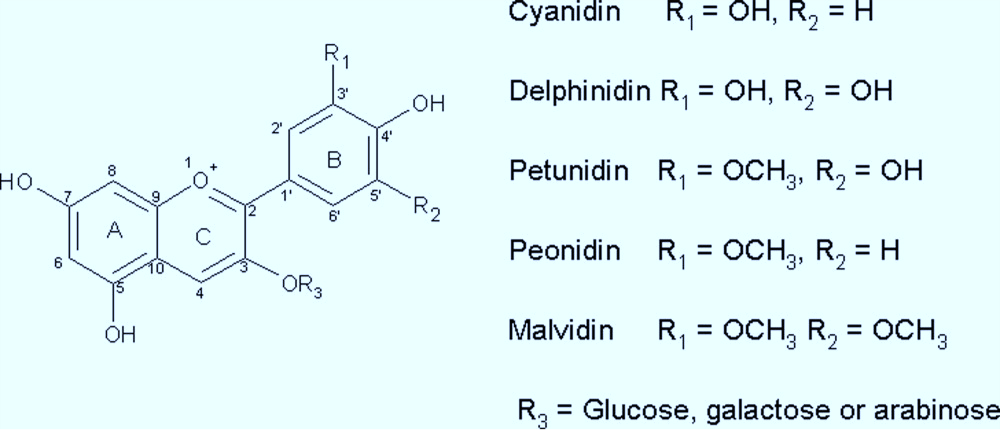 花青素的分子结构