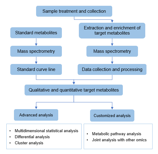 苯甲酸靶向代谢组学的技术路线