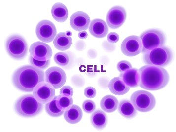 Cell Metabolomics Services