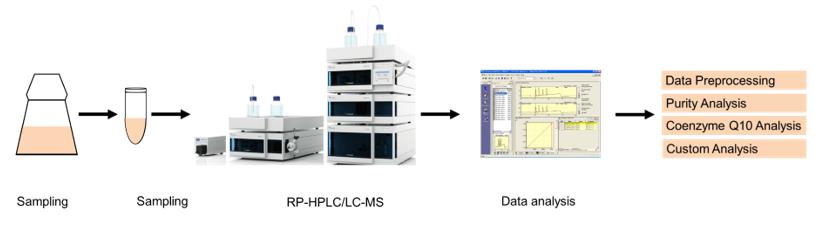 辅酶Q10分析服务工作流程。