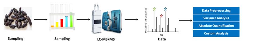 Dicoumarol Analysis服务工作流程