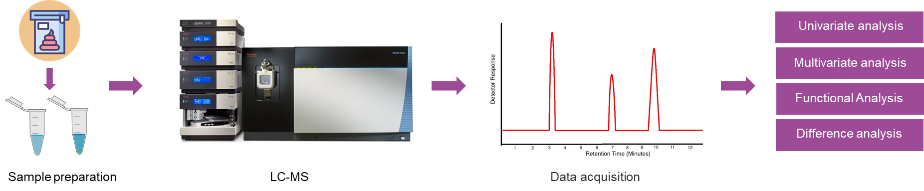 The workflow of untargeted metabolomics analysis