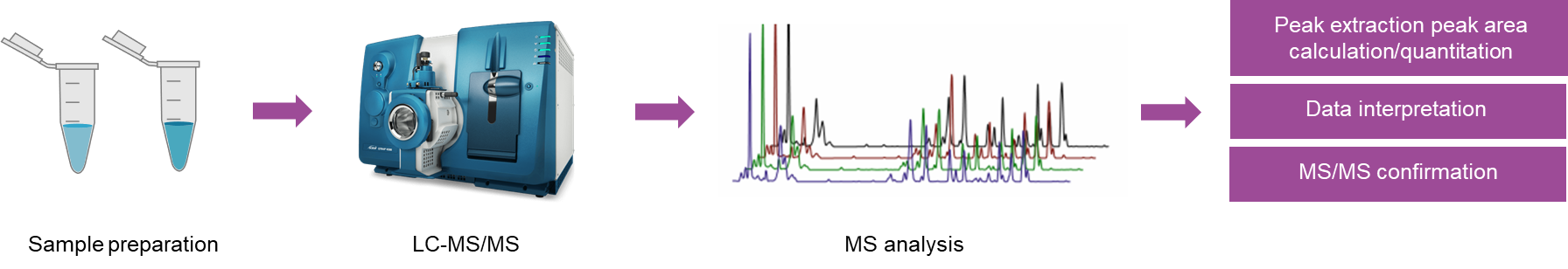 The workflow of target metabolomics analysis