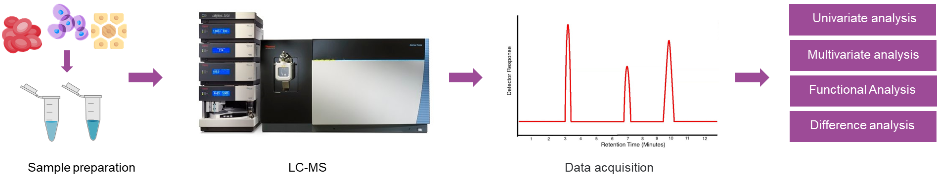 The workflow of untargeted metabolomics analysis