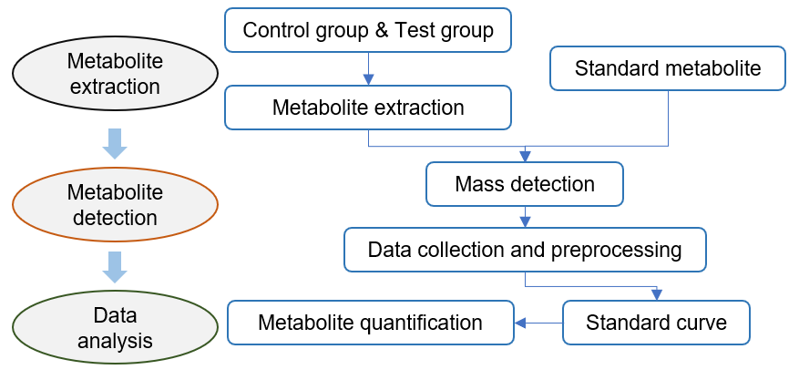 岩藻黄质靶向代谢组学技术流程