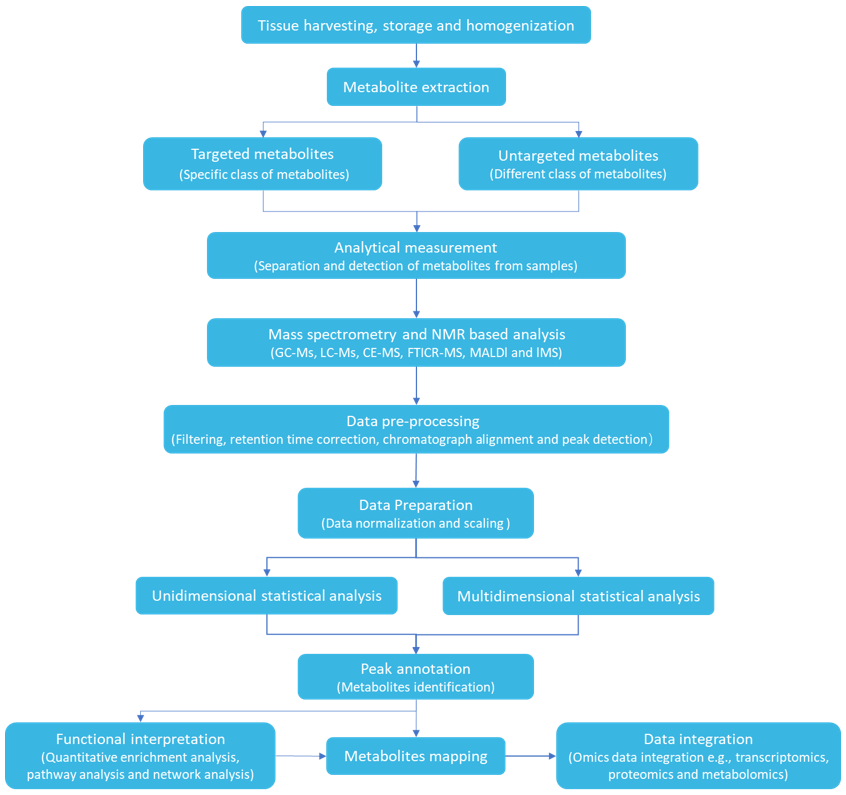 Bryophytes Metabolomics Analysis Services