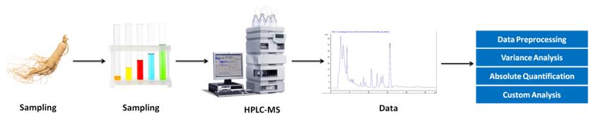 人参皂苷分析服务工作流程