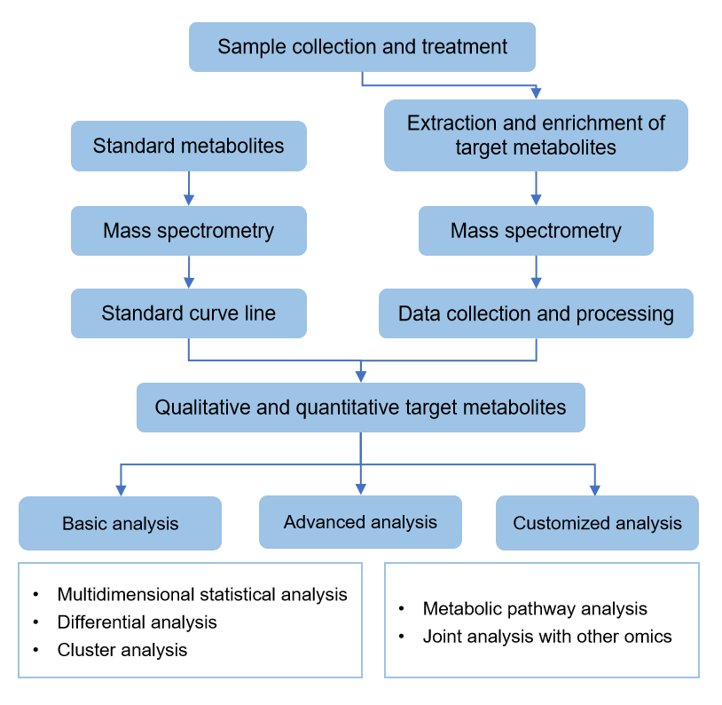 目标代谢组服务的工作流程