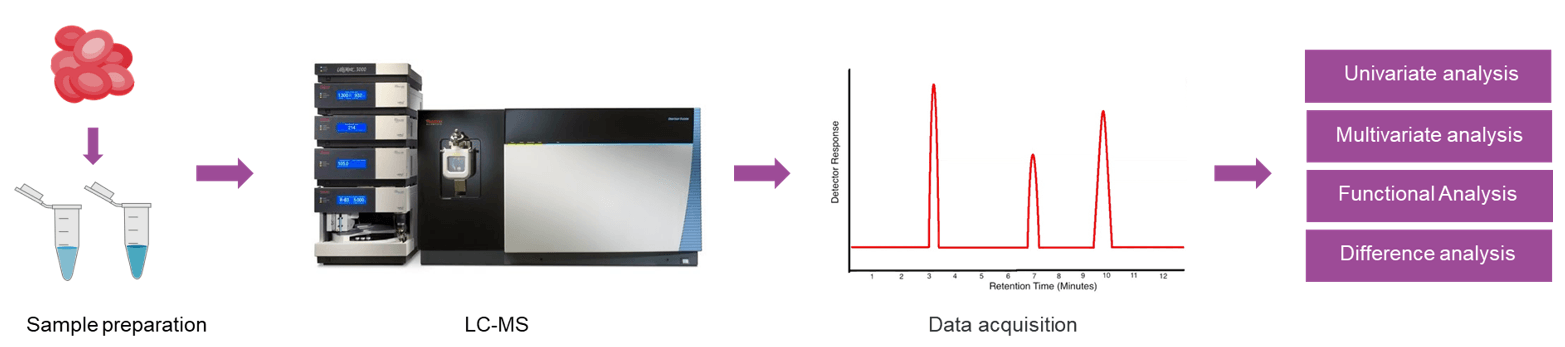 The workflow of untargeted metabolomics analysis