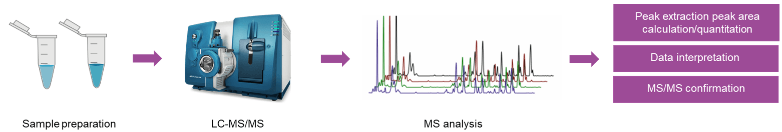 The workflow of target metabolomics analysis