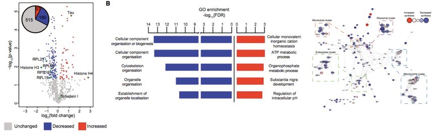 通过外泌体蛋白质组学发现新的疾病标志物